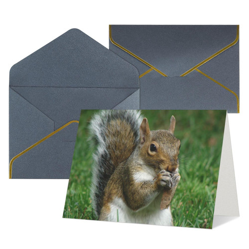 Squirrel Printed Greeting Note Cards Thank You Cards Blank Notecards Wtih Envelopes Holiday Cards For Christmas Birthdays Black