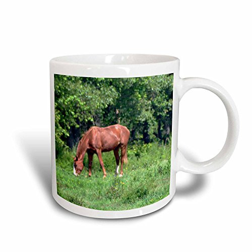 3dRose mug_52652_3"A horse grazing" Magic Transforming Mug, 11 oz, Multicolor 3dRose mug_52652_3"A horse grazing" Magic Transforming Mug, 11 oz, Multicolor