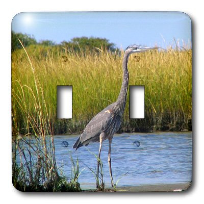 3dRose LLC lsp_3108_2 Blue Heron Double Toggle Switch