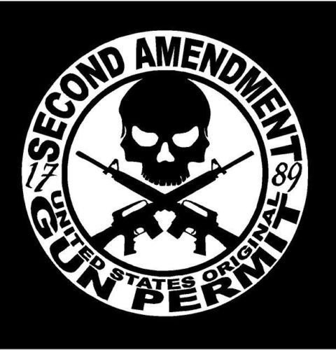 Just For Fun White - 5.5 x 5.5 2nd Amendment Skull Gun Control Vinyl Die Cut Decal Bumper Sticker, Windows, Cars, Trucks, laptops, etc