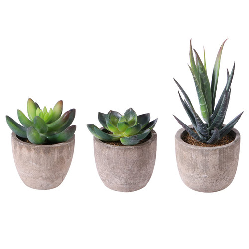 Happyyami Succulents Plants Artificial 3pcs Decorative Faux Succulent Potted Succulents Plant Decorative Artificial Succulent Plants Fake Cacti Plants with Pots Small Artificial Plants