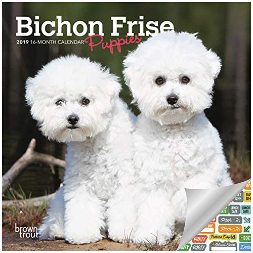 Bichon Frise Puppies Calendar 2019 Set - Deluxe 2019 Bichon Frise Puppies Mini Calendar with Over 100 Calendar Stickers (Bichon Frise Puppies Gifts, Office Supplies)
