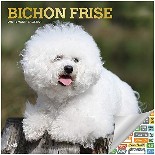 Bichon Frise Calendar 2019 Set - Deluxe 2019 Bichon Frise Wall Calendar with Over 100 Calendar Stickers (Bichon Frise Gifts, Office Supplies)