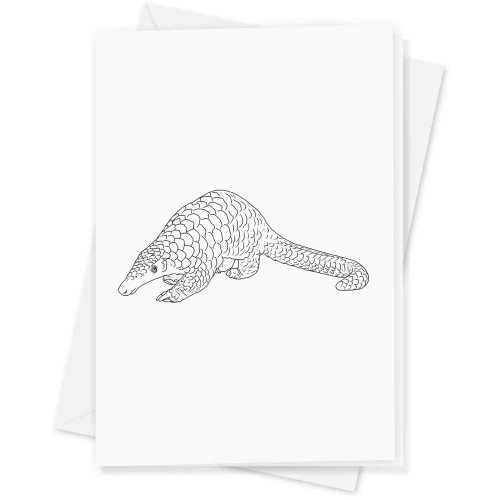 Large (A4) 'Cute Pangolin' Blank Greeting Card (GC00053316)