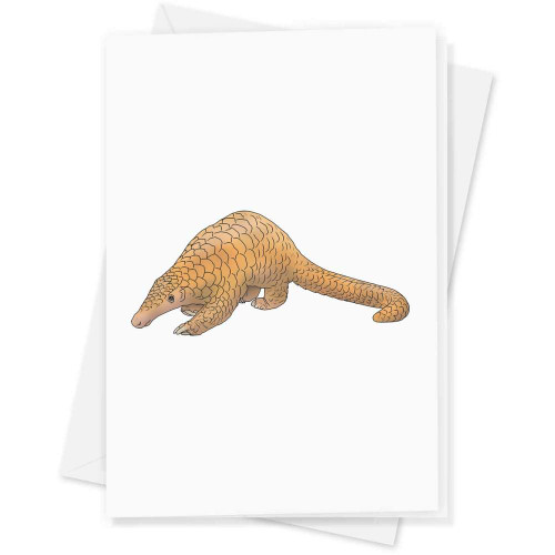 Large (A4) 'Cute Pangolin' Blank Greeting Card (GC00053318)