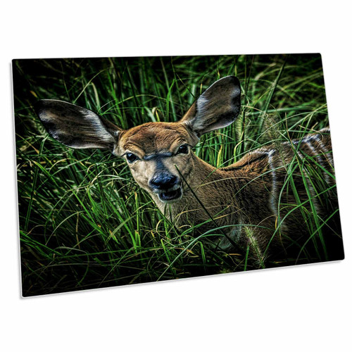 3dRose Chris Lord Animals - Deer Portrait Grass Ears - Desk Pad Place Mats (dpd-123863-1)