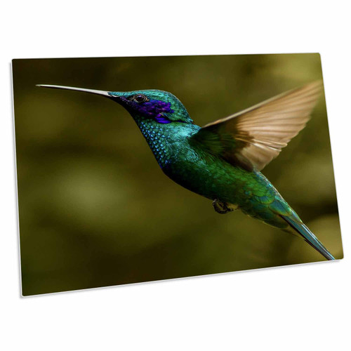 3dRose Ecuador, Galapagos, NONO. Sparkling Violet Ear... - Desk Pad Place Mats (dpd-228786-1) 3dRose Ecuador, Galapagos, NONO. Sparkling Violet Ear... - Desk Pad Place Mats (dpd-228786-1)