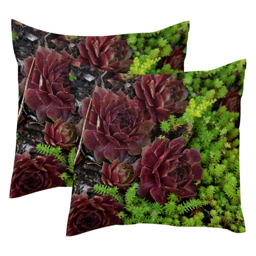 LORVIES Xmas Pillow Covers, Succulents Throw Pillow Covers 20 x 20 inches, 2 Pack Square Farmhouse Pillowcase, Velvet Cushion Case for Sofa Bedroom Home Decor