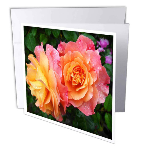 3dRose lens Art by Florene - Flower Standouts - Image of Special Yellow With Pink Rose Blend Closeup - 12 Greeting Cards with envelopes (gc_325514_2)
