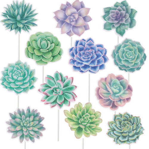 Succulent Cactus Cupcake Topper Succulent Plants Cupcake Picks Succulent Party Cake Decorations for Succulent Theme Hawaiian Party Bridal Shower Party Supplies