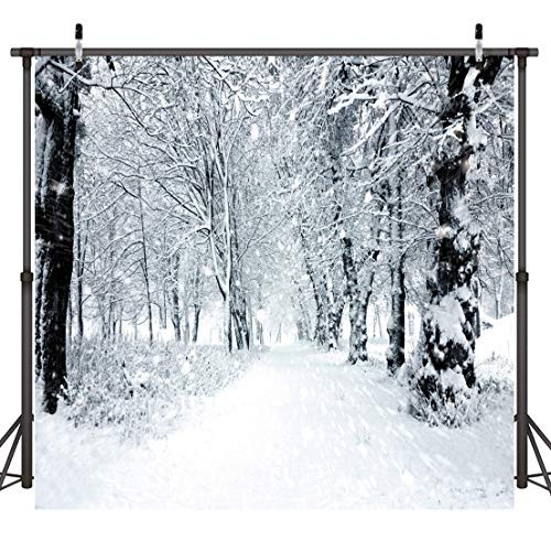 Dudaacvt 10x10ft Winter Photography Backdrops White Frozen Snow Backdrop Forest Tree Photo Background Year Theme Photo Backdrop D092 1010 Dudaacvt 10x10ft Winter Photography Backdrops White Frozen Snow Backdrop Forest Tree Photo Background Year Theme Photo Backdrop D092 1010