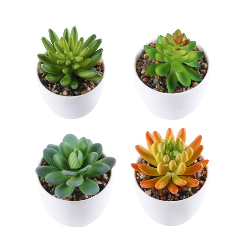 Jusdreen 4-Piece Set Mini Artificial Succulent Plants in Pots, Fake Succulent Set, Faux Succulents Plants Artificial Potted for Home Office Desk Decorations Jusdreen 4-Piece Set Mini Artificial Succulent Plants in Pots, Fake Succulent Set, Faux Succulents Plants Artificial Potted for Home Office Desk Decorations