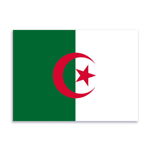 Flag of Algeria Sticker Decal Notebook Car Laptop 5.5"x4" (Color)