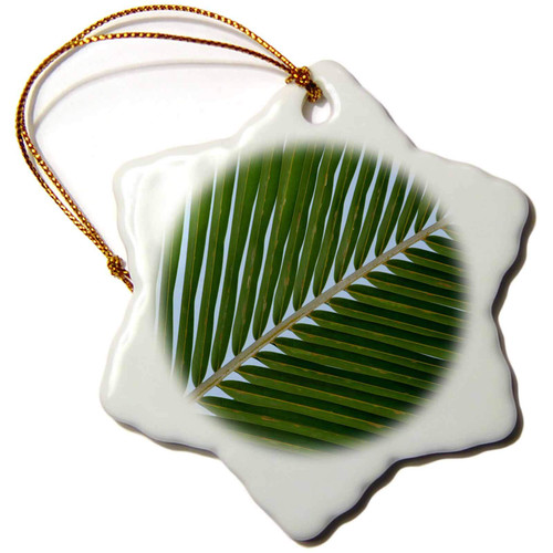 3dRose Cook Islands. Palmerston Island. Detail of Palm Tree. - Ornaments (orn-228576-1)