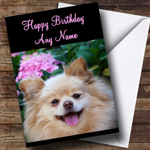 Pomeranian Dog Personalized Birthday Greetings Greetings Card