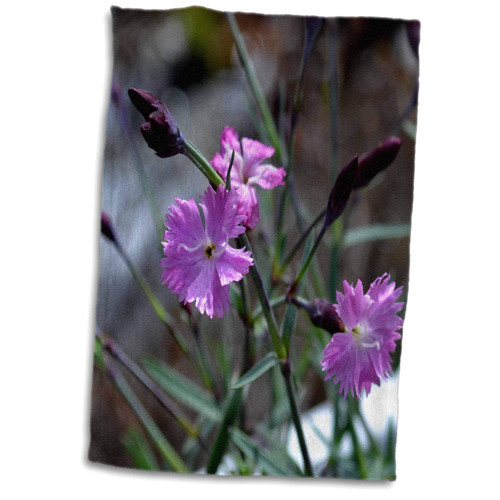 3dRose Lifes Simple Pleasures Delicate small purple flowers - Towels (twl-127760-1)