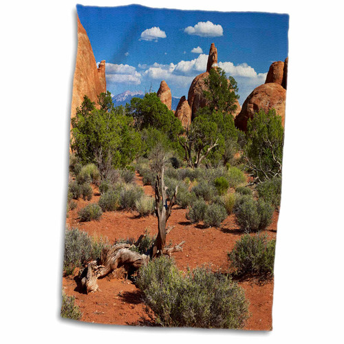 3dRose USA, Utah, Arches NP. Devils Garden with Sand Towers and Dead Trees. - Towels (twl-207726-1) 3dRose USA, Utah, Arches NP. Devils Garden with Sand Towers and Dead Trees. - Towels (twl-207726-1)