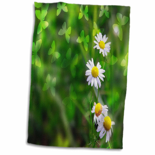 3dRose Photography of White and Yellow Daisies with A Green Butterfly... - Towels (twl-213707-1) 3dRose Photography of White and Yellow Daisies with A Green Butterfly... - Towels (twl-213707-1)