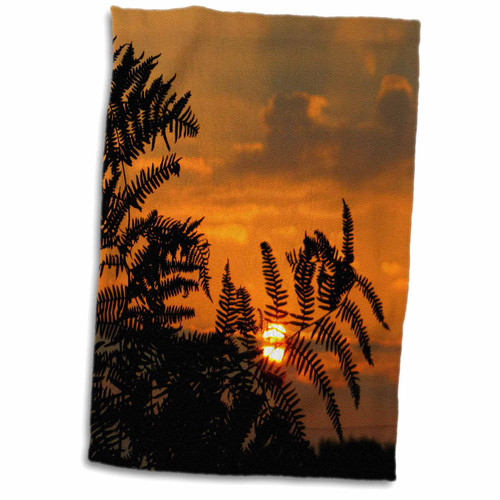 3dRose Sven Herkenrath Sunset - Wonderful Sunset with Flower - Towels (twl-236477-1)