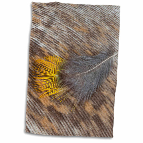 3dRose Danita Delimont - Feathers - Feather Pattern and Design - Towels (twl-250257-1) 3dRose Danita Delimont - Feathers - Feather Pattern and Design - Towels (twl-250257-1)