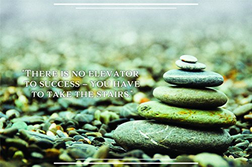 There Is No Elevator To Success Poster Wall Print | Inspirational Motivational Gym Classroom Home Office Dorm | 18 X 12 Inches | SJC235