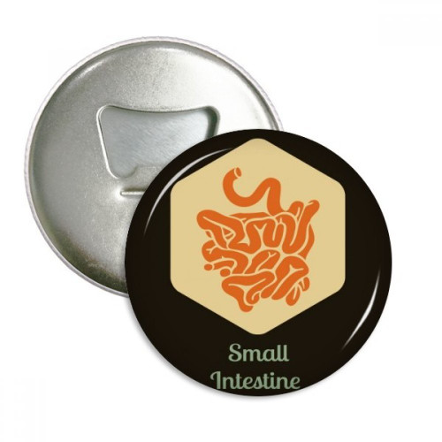 Body Organs Small Intestine Bottle Opener Fridge Magnet Emblem Multifunction Badge
