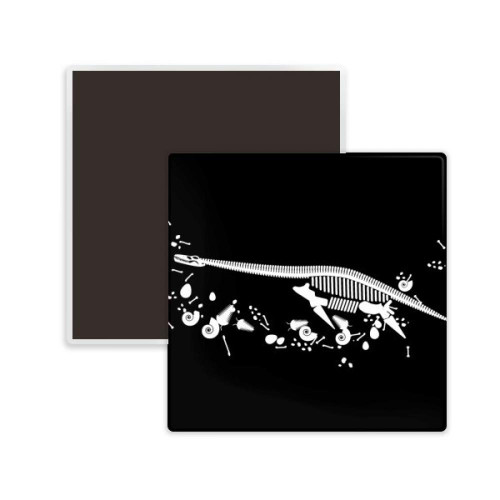 Dinosaur Bone Bones Small Square Ceramics Fridge Magnet Keepsake Memento