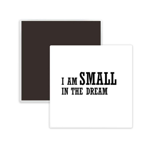 I Am Small In The Dream Square Ceramics Fridge Magnet Keepsake Memento