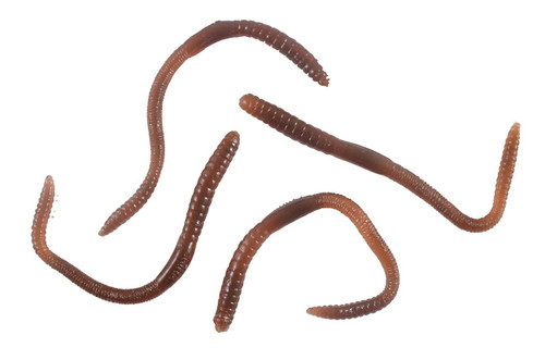 Curious Minds Busy Bags Set of 24 Stretchy Earthworm Stretchy Noodle Fidget Toys - Fun Realistic Worm Long Stretch Toys - Soft & Flexible - Fidget Sensory Toy - Stretchy Noodle String (2 Dozen)