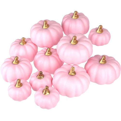 Artmag Artificial Pumpkins Bulk 12Pcs Assorted Sizes Harvest Lifelike Pumpkin Fake Foam Pumpkin for Fall Autumn Halloween Home Party Thanksgiving Party Holiday Decor Pink