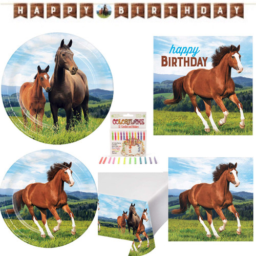 Horse Equine Happy Birthday Disposable Paper Party Supplies Serves 16 Dinner Plates, Cake Plates, Lunch Napkin, Beverage, Table Cover, Happy Birthday Banner, Candles and Recipe Horse Equine Happy Birthday Disposable Paper Party Supplies Serves 16 Dinner Plates, Cake Plates, Lunch Napkin, Beverage, Table Cover, Happy Birthday Banner, Candles and Recipe