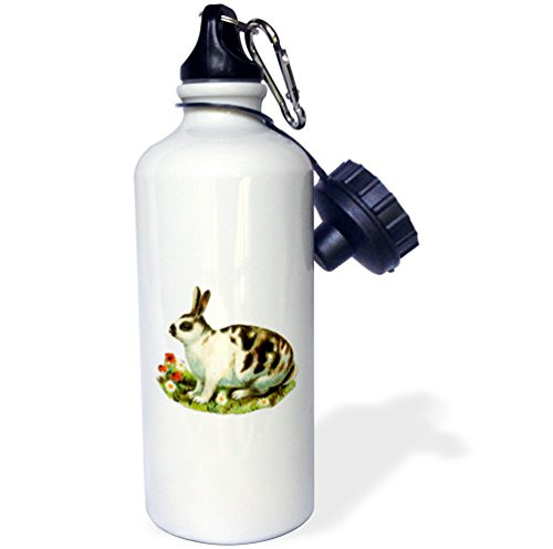 3dRose wb_80762_1"Vintage Drawing Of A Spotted Bunny Among Flowers" Sports Water Bottle, 21 oz, White 3dRose wb_80762_1"Vintage Drawing Of A Spotted Bunny Among Flowers" Sports Water Bottle, 21 oz, White