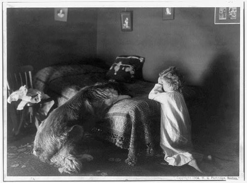 HistoricalFindings Photo: Evening Prayer,Dog and Small Girl Kneeling at Bed,c1906