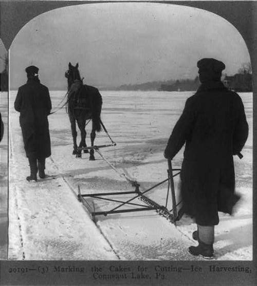 HistoricalFindings Photo: Ice harvesting,Conneaut Lake,PA,Marking The Cakes for Cutting,c1907,Horse HistoricalFindings Photo: Ice harvesting,Conneaut Lake,PA,Marking The Cakes for Cutting,c1907,Horse