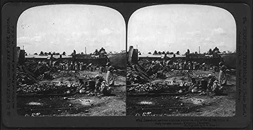 HistoricalFindings Photo: Reproduction,Earthquake,Kingston,Jamaica,Natives Cooking Dinner,Disaster,c1907 HistoricalFindings Photo: Reproduction,Earthquake,Kingston,Jamaica,Natives Cooking Dinner,Disaster,c1907