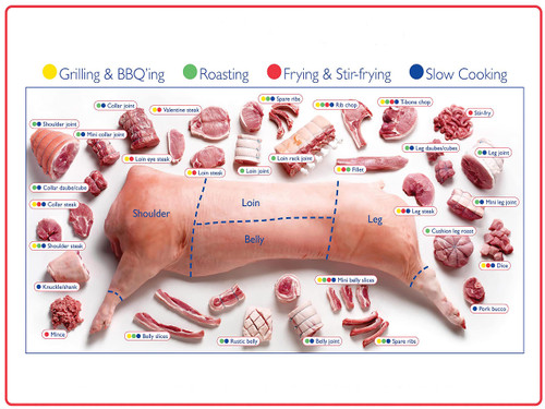 Decor Print Store Laminated Poster: 18x24 Pork Butcher Chart How To Prepare Cook Photo Picture Artwork Art Print Wall Hanging