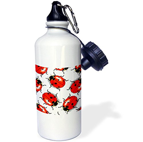3dRose wb_1000_1 G Clef and Musical Notes Sports Water Bottle, 21 oz, White