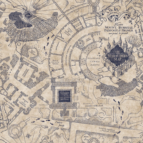 RoomMates Blue Harry Potter Marauder's Map Peel & Stick Wallpaper