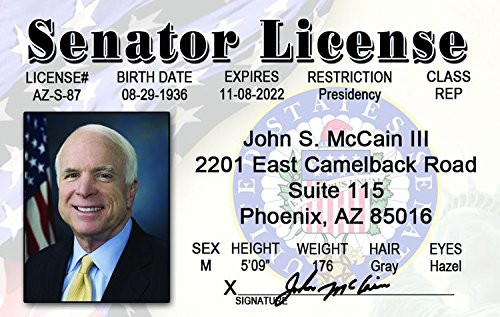 Signs 4 Fun NJMID John McCain ID, Grey