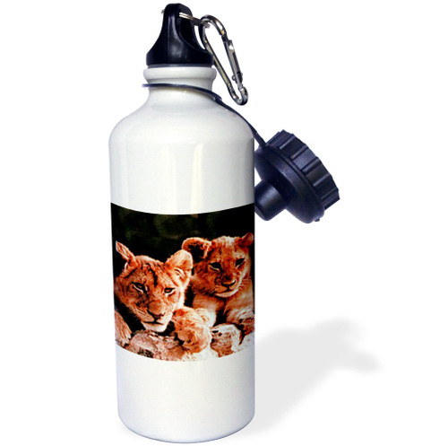 3dRose "African Lion Cubs" Sports Water Bottle, 21 oz, White