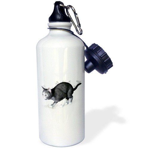 3dRose "Grey White Cat" Sports Water Bottle, 21 oz, White