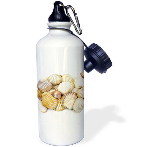 3dRose "Sea Shells by the Sea Shore Summer Beach Theme" Sports Water Bottle, 21 oz, White