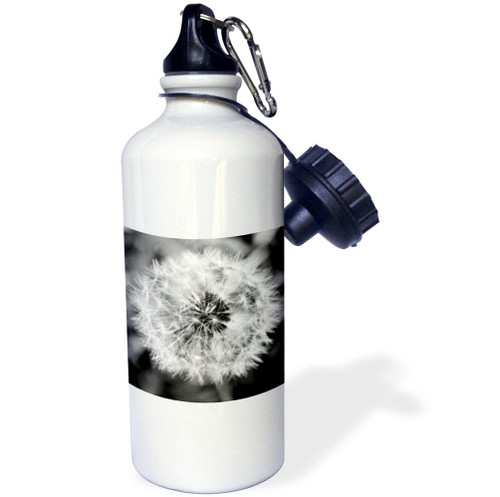 3dRose "Black and White Dandelion Puff" Sports Water Bottle, 21 oz, White