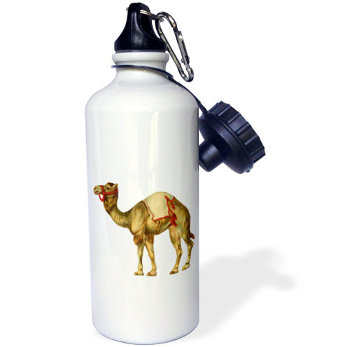 3dRose "Circus Camel" Sports Water Bottle, 21 oz, White