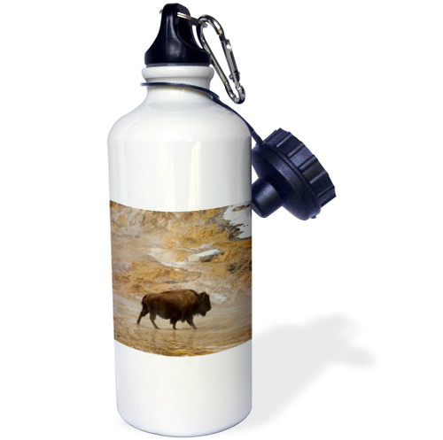 3dRose Buffalo traverses Mammoth Hot Springs, Yellowstone NP, Wyoming-Sports Water Bottle, 21oz , Multicolored