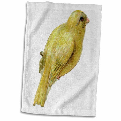 3D Rose Vintage Yellow Finch Bird Illustration Hand/Sports Towel, 15 x 22 3D Rose Vintage Yellow Finch Bird Illustration Hand/Sports Towel, 15 x 22
