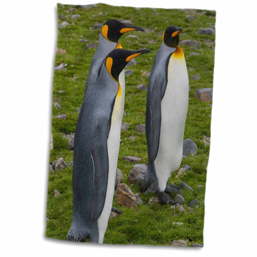 3D Rose South Georgia-Saint Andrews. King Penguins Hand Towel, 15" x 22"