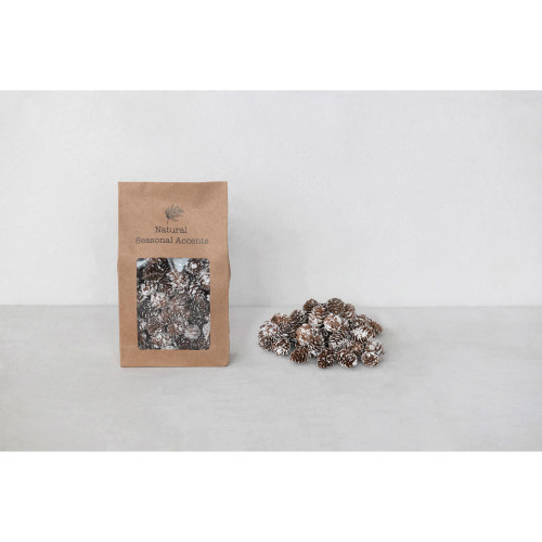 Creative Co-Op 7oz Dried Pinecones