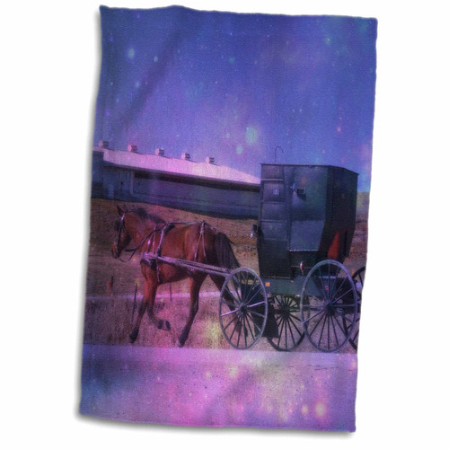 3D Rose Amish Space by Angelandspot Hand Towel, 15" x 22"