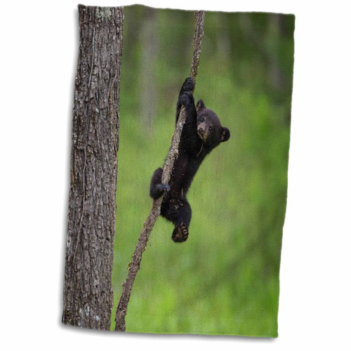 3D Rose Tennessee. Black Bear Cub Playing On Tree Limb Hand Towel, 15" x 22", Multicolor